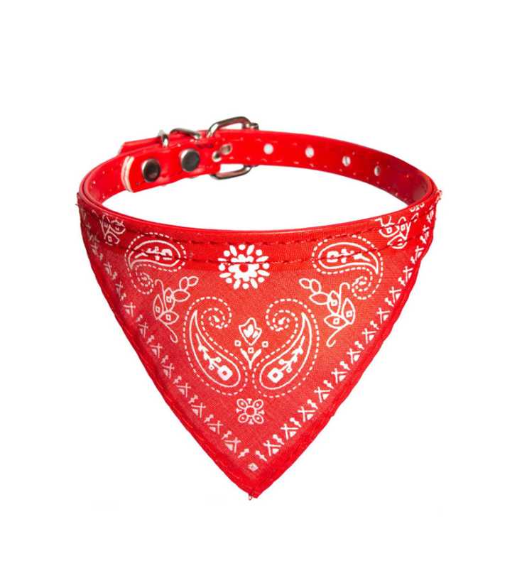 Collier Pour Petit Chien Style Foulard Rouge Taille S