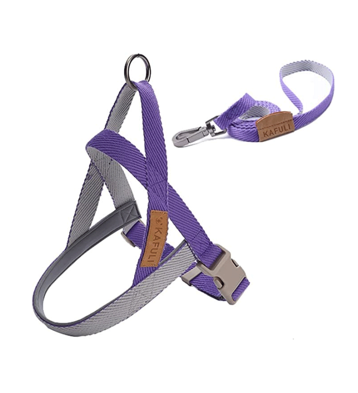 Ensemble Harnais Et Laisse Licou Pour Chien Violet Taille M Avec Sangle En Nylon KAFULI