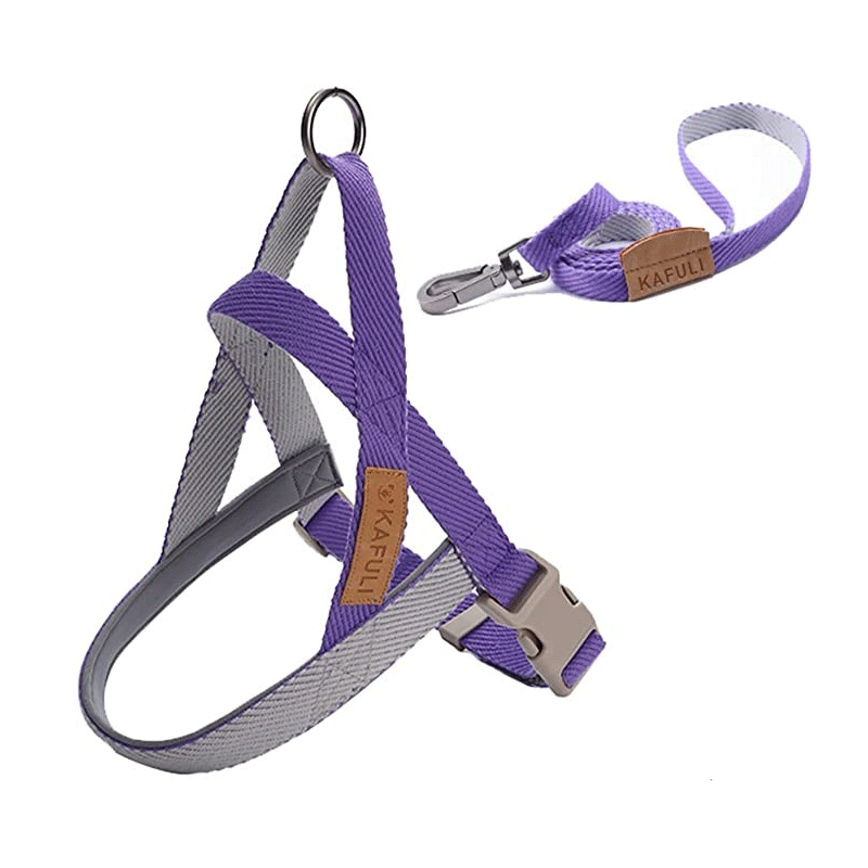 Ensemble Harnais Et Laisse Licou Pour Chien Violet Taille M Avec Sangle En Nylon KAFULI