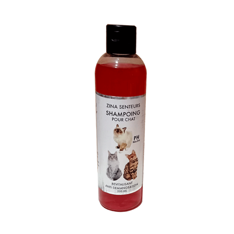 Shampoing Anti Démangeaison Pour Chat