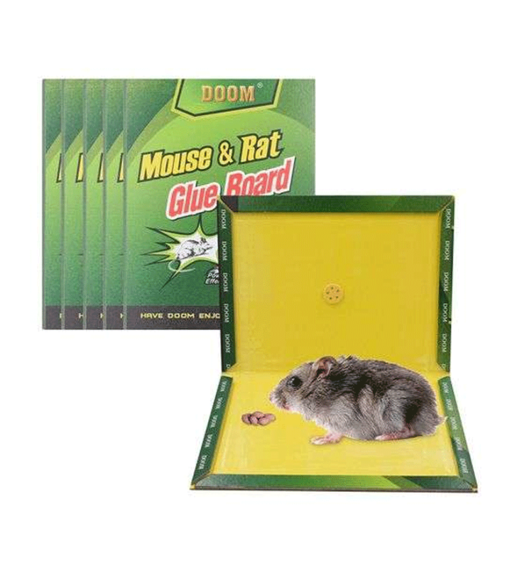 Colle Rat Livre Board Traps