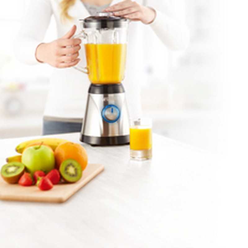 Blender Inox Bol En Verre 1000 W PRINCESS