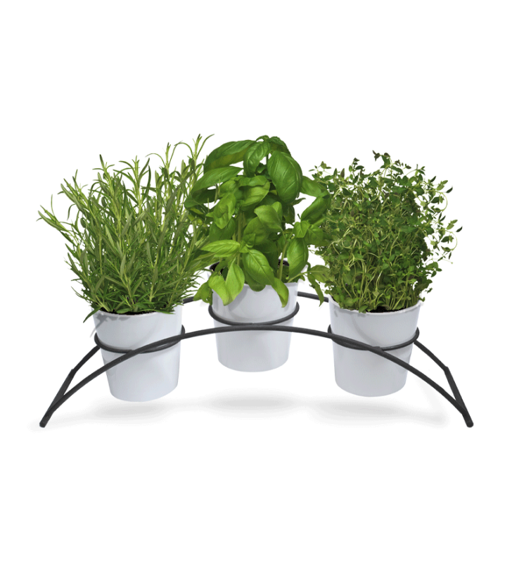 Coffret 3 pots patio 15 blanc Arche - Patrol