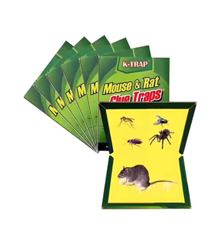 Colle Rat Livre Board Traps