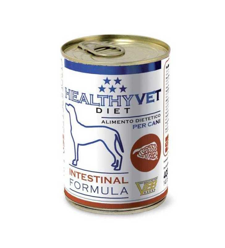 HEALTHY VET INTESTINAL DOG 400 GR