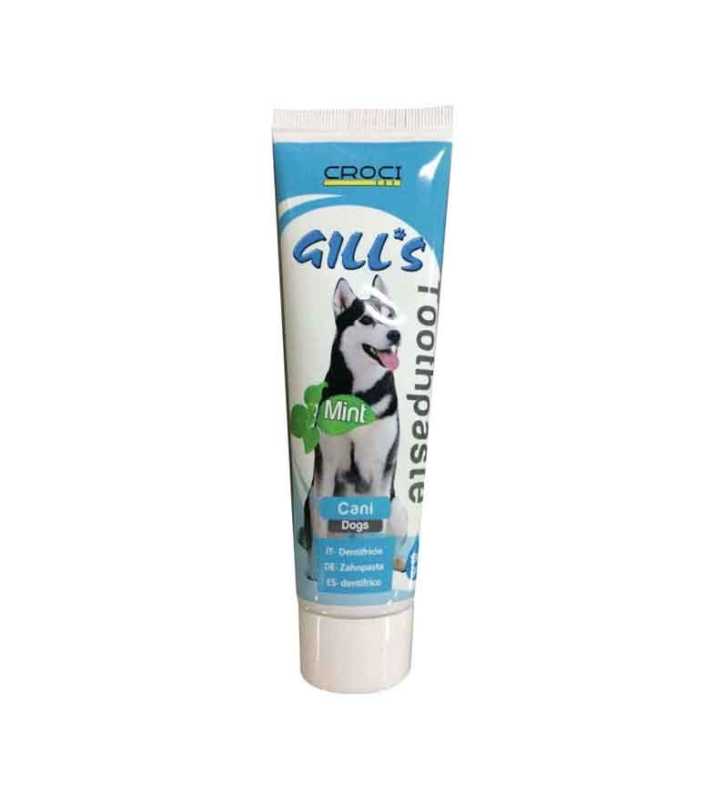 GILL'S MINT TOOTH PASTE 100g