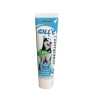 GILL'S MINT TOOTH PASTE 100g