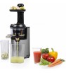 Extracteur De Jus lent 600 ml PRINCESS